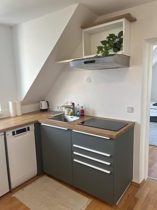 Cozy City Center Apartment Graz Kültér fotó